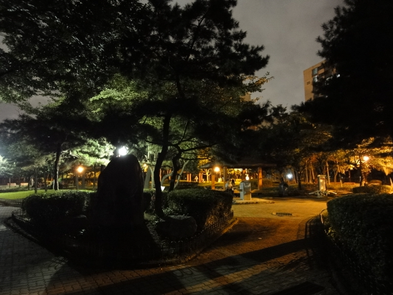 [DSC-WX1] 016.jpg
